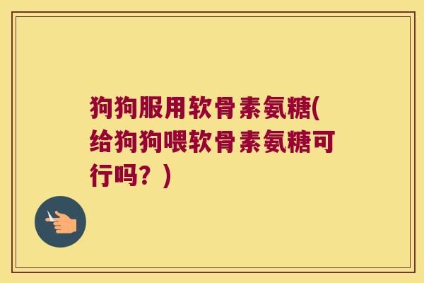 狗狗服用软骨素氨糖(给狗狗喂软骨素氨糖可行吗?)