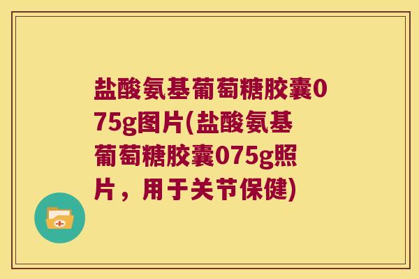 盐酸氨基葡萄糖胶囊075g图片(盐酸氨基葡萄糖胶囊075g照片,用于关节保健)