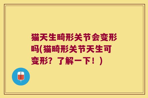 猫天生畸形关节会变形吗(猫畸形关节天生可变形？了解一下！)
