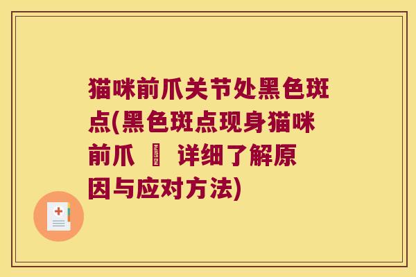 猫咪前爪关节处黑色斑点(黑色斑点现身猫咪前爪 – 详细了解原因与应对方法)