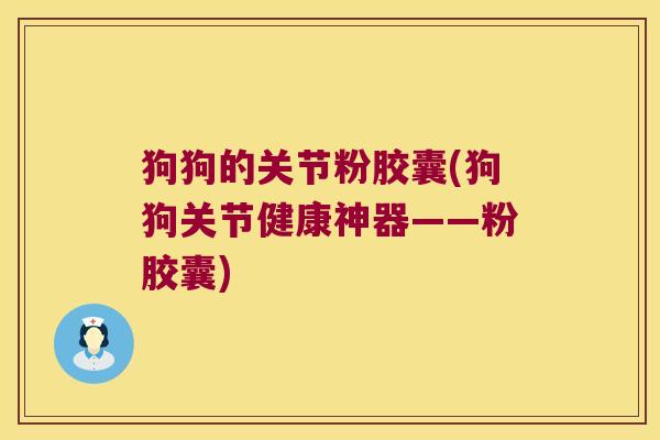狗狗的关节粉胶囊(狗狗关节健康神器——粉胶囊)