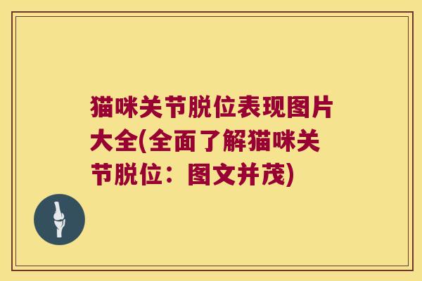 猫咪关节脱位表现图片大全(全面了解猫咪关节脱位:图文并茂)