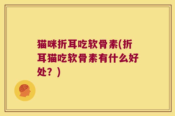 猫咪折耳吃软骨素(折耳猫吃软骨素有什么好处?)
