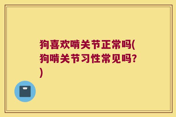 狗喜欢啃关节正常吗(狗啃关节习性常见吗?)