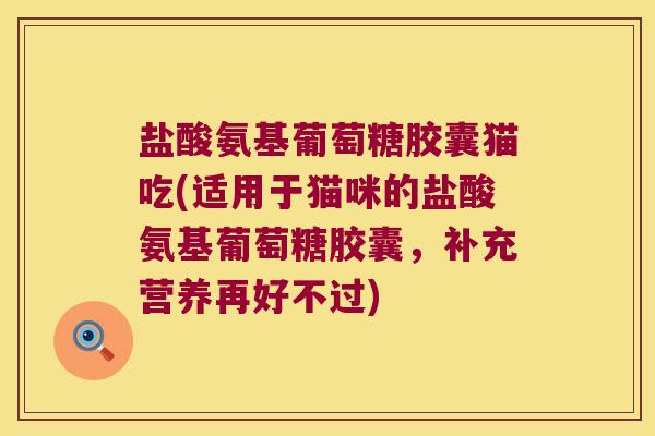 盐酸氨基葡萄糖胶囊猫吃(适用于猫咪的盐酸氨基葡萄糖胶囊,补充营养再好不过)
