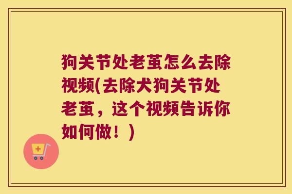狗关节处老茧怎么去除视频(去除犬狗关节处老茧,这个视频告诉你如何做!)