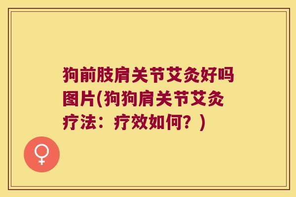 狗前肢肩关节艾灸好吗图片(狗狗肩关节艾灸疗法：疗效如何？)