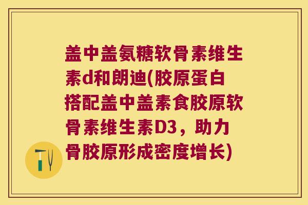 盖中盖氨糖软骨素维生素d和朗迪(胶原蛋白搭配盖中盖素食胶原软骨素维生素D3,助力骨胶原形成密度增长)