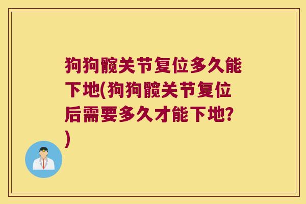 狗狗髋关节复位多久能下地(狗狗髋关节复位后需要多久才能下地?)