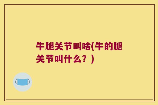 牛腿关节叫啥(牛的腿关节叫什么？)