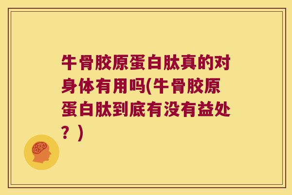 牛骨胶原蛋白肽真的对身体有用吗(牛骨胶原蛋白肽到底有没有益处?)