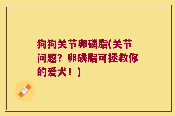 狗狗关节卵磷脂(关节问题?卵磷脂可拯救你的爱犬!)
