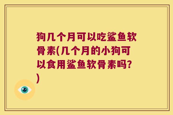 狗几个月可以吃鲨鱼软骨素(几个月的小狗可以食用鲨鱼软骨素吗?)