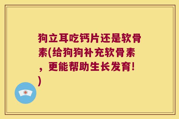 狗立耳吃钙片还是软骨素(给狗狗补充软骨素,更能帮助生长发育!)
