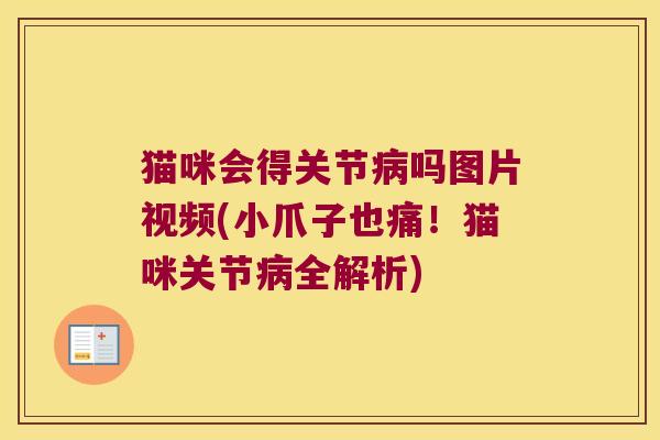 猫咪会得关节病吗图片视频(小爪子也痛!猫咪关节病全解析)