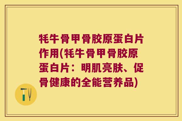 牦牛骨甲骨胶原蛋白片作用(牦牛骨甲骨胶原蛋白片:明肌亮肤、促骨健康的全能营养品)
