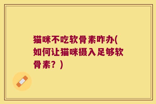 猫咪不吃软骨素咋办(如何让猫咪摄入足够软骨素?)