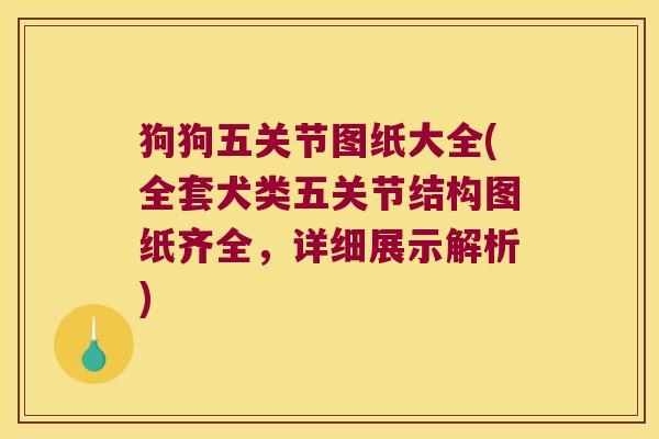 狗狗五关节图纸大全(全套犬类五关节结构图纸齐全,详细展示解析)