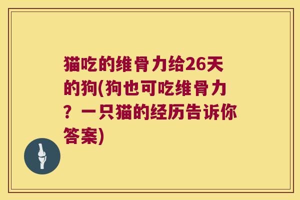 猫吃的维骨力给26天的狗(狗也可吃维骨力?一只猫的经历告诉你答案)
