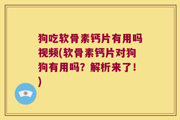 狗吃软骨素钙片有用吗视频(软骨素钙片对狗狗有用吗?解析来了!)