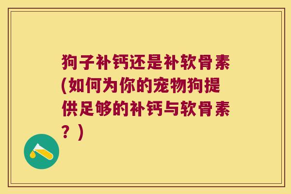 狗子补钙还是补软骨素(如何为你的宠物狗提供足够的补钙与软骨素?) 狗子补钙还是补软骨素(如何为你的宠物狗提供足够的补钙与软骨素?)