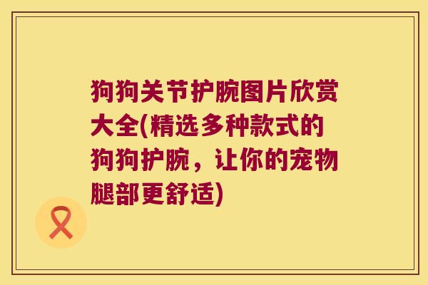 狗狗关节护腕图片欣赏大全(精选多种款式的狗狗护腕,让你的宠物腿部更舒适)