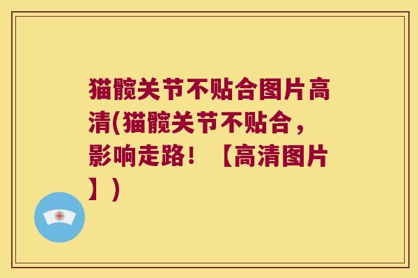 猫髋关节不贴合图片高清(猫髋关节不贴合,影响走路!【高清图片】)