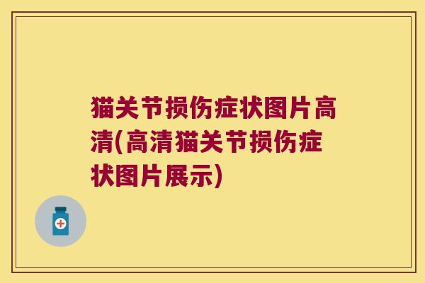 猫关节损伤症状图片高清(高清猫关节损伤症状图片展示)