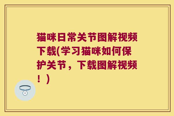 猫咪日常关节图解视频下载(学习猫咪如何保护关节,下载图解视频!)