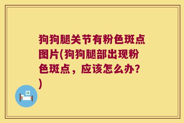 狗狗腿关节有粉色斑点图片(狗狗腿部出现粉色斑点,应该怎么办?)