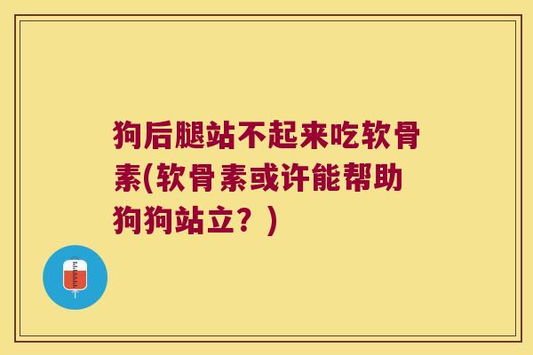 狗后腿站不起来吃软骨素(软骨素或许能帮助狗狗站立?)