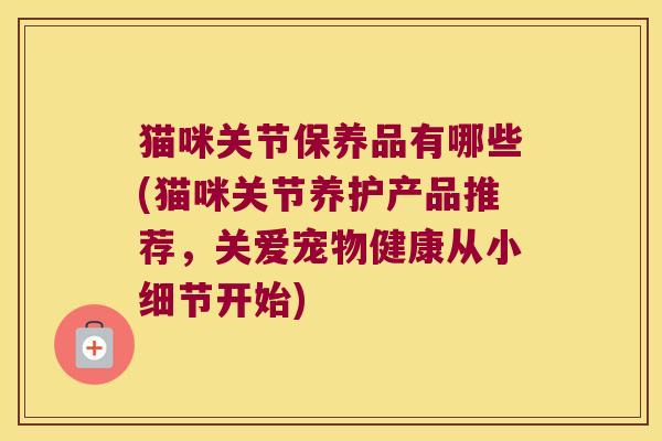 猫咪关节保养品有哪些(猫咪关节养护产品推荐,关爱宠物健康从小细节开始)