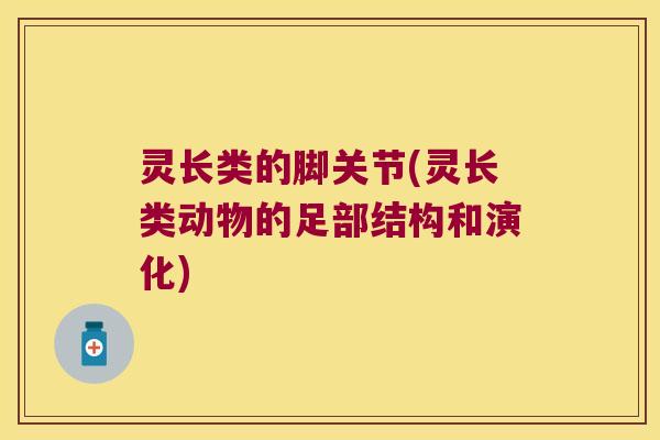灵长类的脚关节(灵长类动物的足部结构和演化)