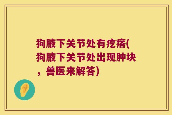 狗腋下关节处有疙瘩(狗腋下关节处出现肿块,兽医来解答)