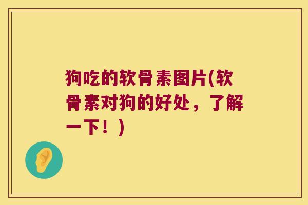 狗吃的软骨素图片(软骨素对狗的好处,了解一下!)