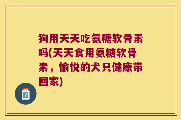 狗用天天吃氨糖软骨素吗(天天食用氨糖软骨素,愉悦的犬只健康带回家)