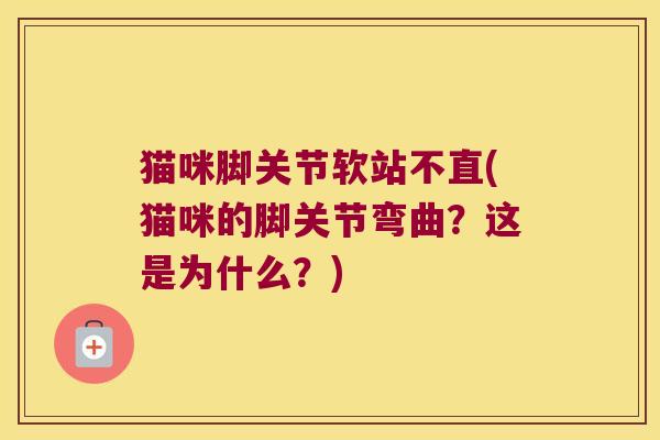 猫咪脚关节软站不直(猫咪的脚关节弯曲?这是为什么?)