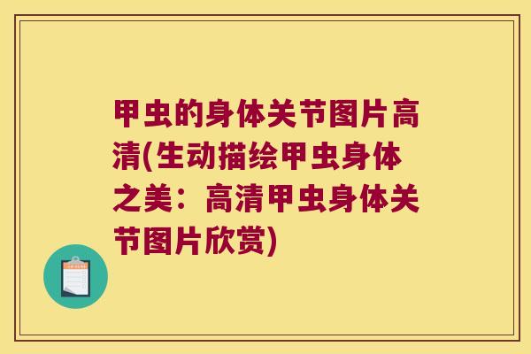 甲虫的身体关节图片高清(生动描绘甲虫身体之美:高清甲虫身体关节图片欣赏)
