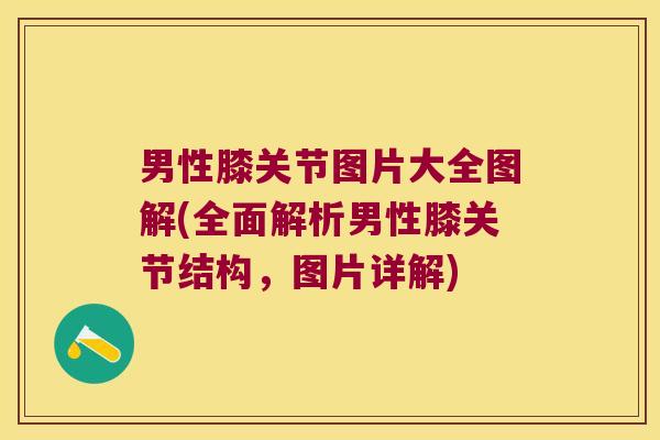 男性膝关节图片大全图解(全面解析男性膝关节结构,图片详解)