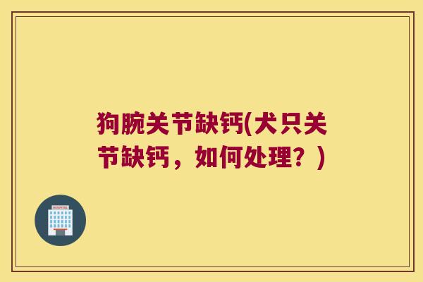 狗腕关节缺钙(犬只关节缺钙,如何处理?) 狗腕关节缺钙(犬只关节缺钙,如何处理?)