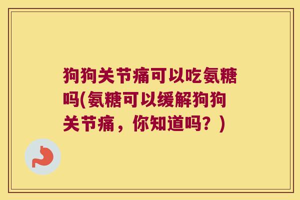 狗狗关节痛可以吃氨糖吗(氨糖可以缓解狗狗关节痛,你知道吗?)
