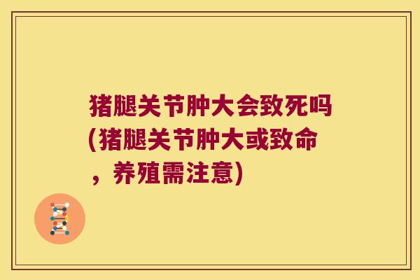 猪腿关节肿大会致死吗(猪腿关节肿大或致命,养殖需注意)