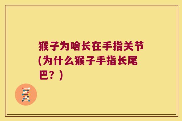 猴子为啥长在手指关节(为什么猴子手指长尾巴?)