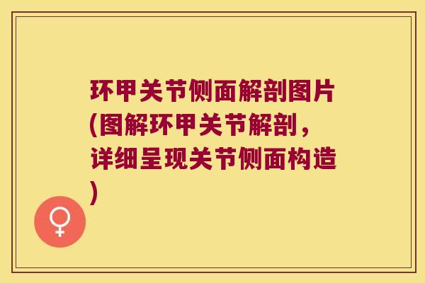 环甲关节侧面解剖图片(图解环甲关节解剖,详细呈现关节侧面构造)