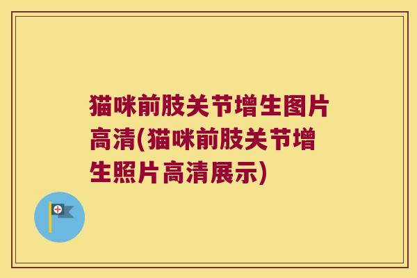 猫咪前肢关节增生图片高清(猫咪前肢关节增生照片高清展示)
