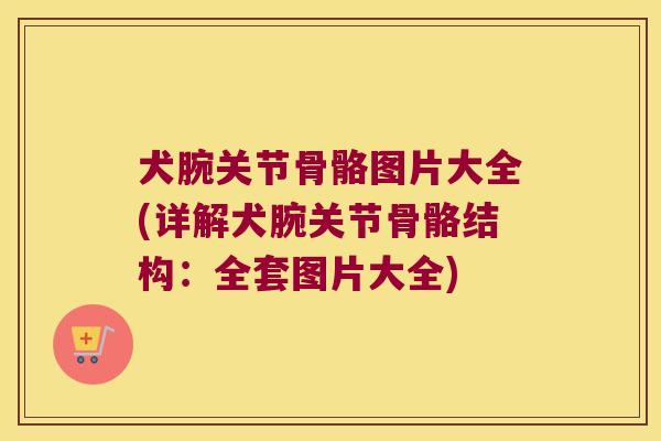 犬腕关节骨骼图片大全(详解犬腕关节骨骼结构:全套图片大全)