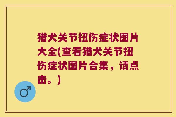 猎犬关节扭伤症状图片大全(查看猎犬关节扭伤症状图片合集,请点击。)