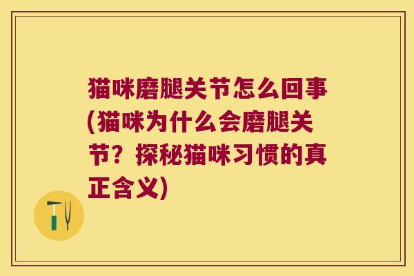 猫咪磨腿关节怎么回事(猫咪为什么会磨腿关节？探秘猫咪习惯的真正含义)