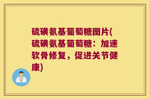 硫磺氨基葡萄糖图片(硫磺氨基葡萄糖:加速软骨修复,促进关节健康)