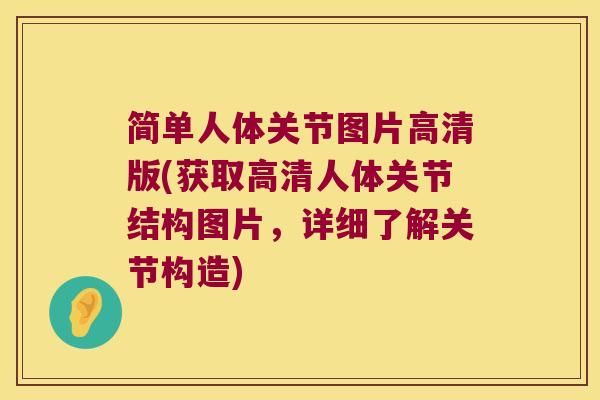 简单人体关节图片高清版(获取高清人体关节结构图片,详细了解关节构造)